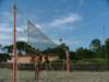tonysbv24agosto052_small.jpg